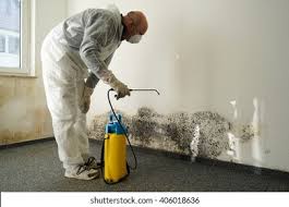 Minoa, NY Mold Prevention & Removal  Company